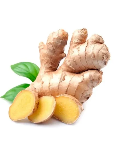 International Fresh Organic Ginger Premium Export